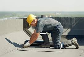 Best Roof Maintenance and Cleaning  in Roma, TX